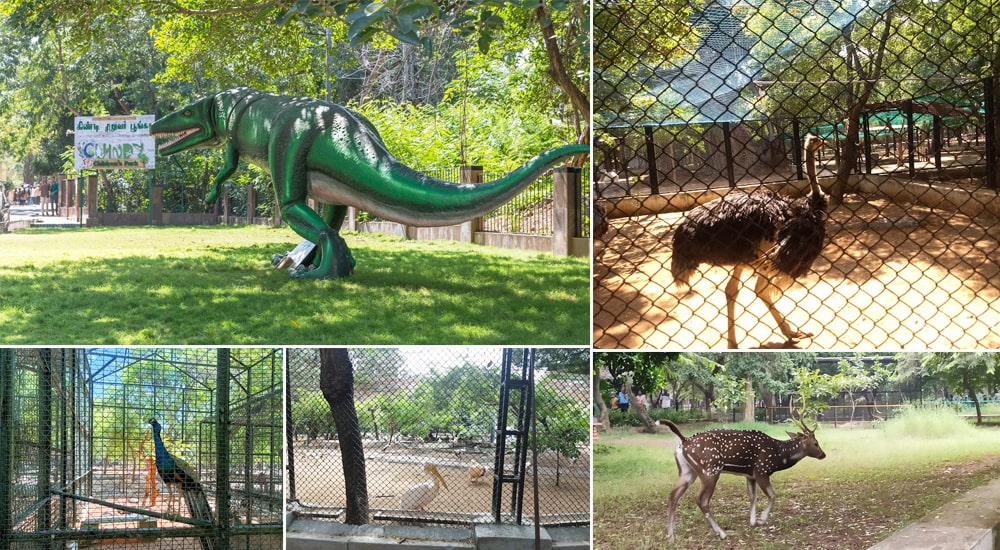 Guindy National Park