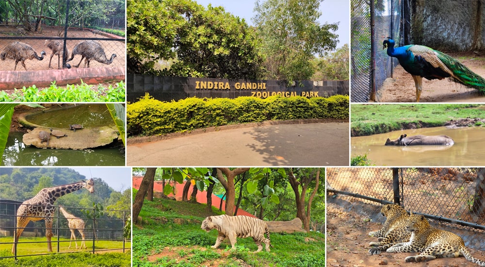 Indira Gandhi Zoological Park