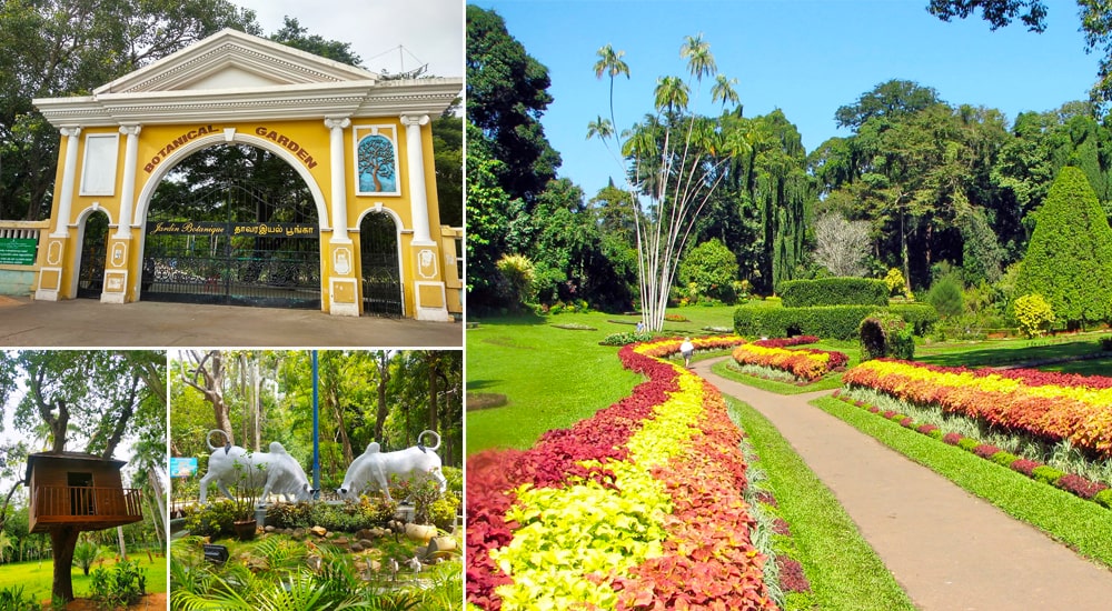 Pondicherry Botanical Garden